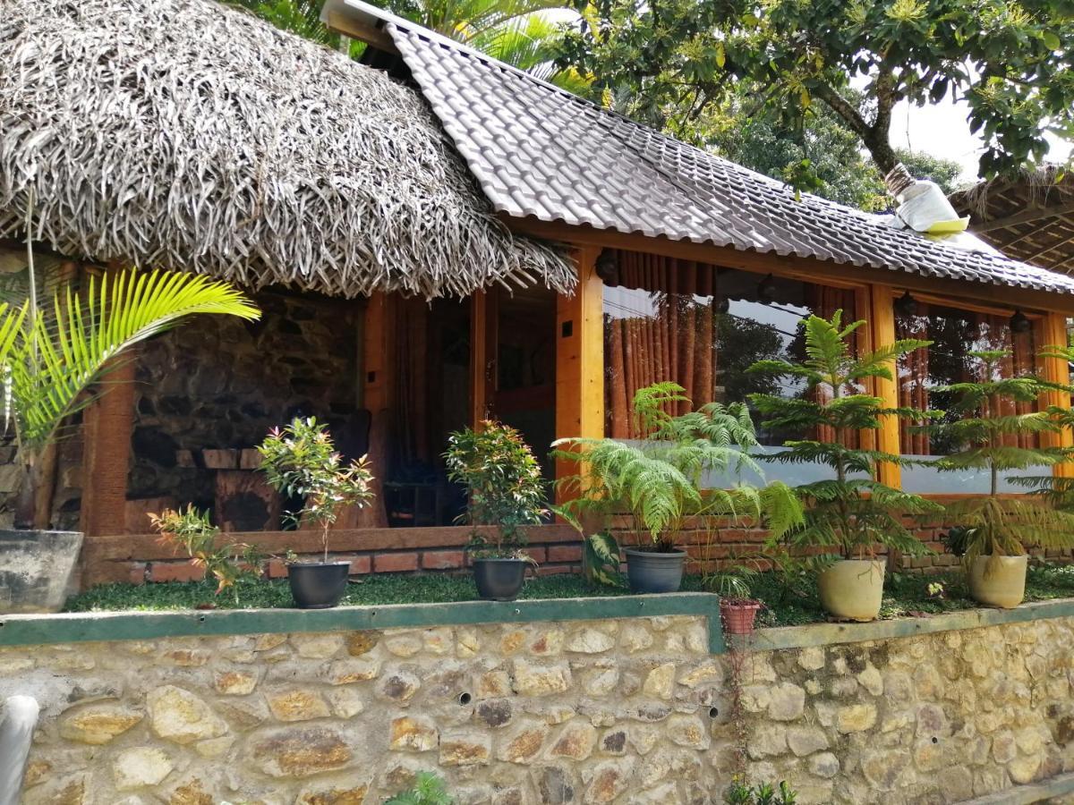 Mc Queen Homestay 엘라 외부 사진